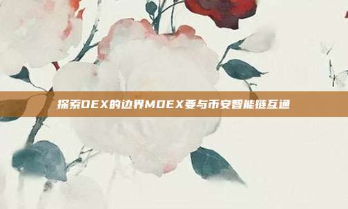 探索DEX的边界MDEX要与币安智能链互通