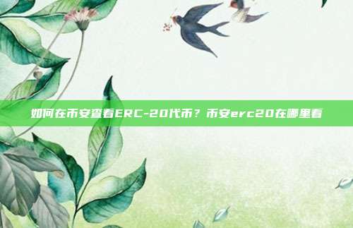 如何在币安查看ERC-20代币？币安erc20在哪里看