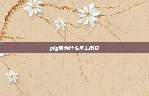 pig币为什么不上币安