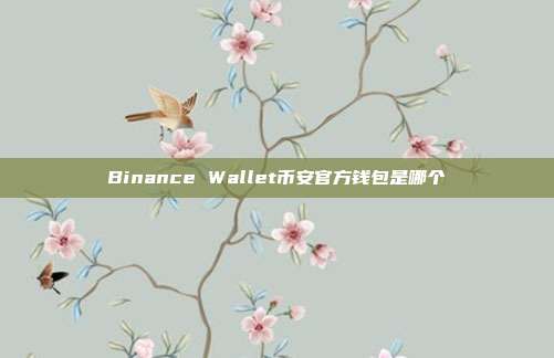 Binance Wallet币安官方钱包是哪个