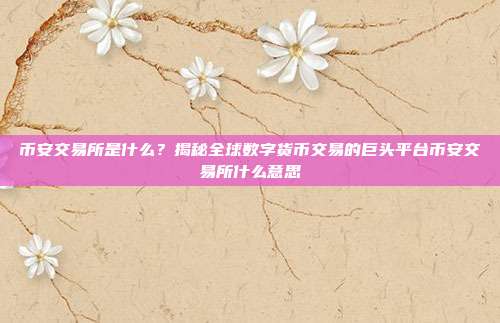 币安交易所是什么？揭秘全球数字货币交易的巨头平台币安交易所什么意思